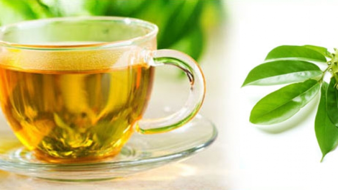 Studies on Polyphenol Content, Flavonoid Content and Antioxidant Activity ofGraviola Tea pulp (Annona muricata L.) from Tien Giang Province, Vietnam