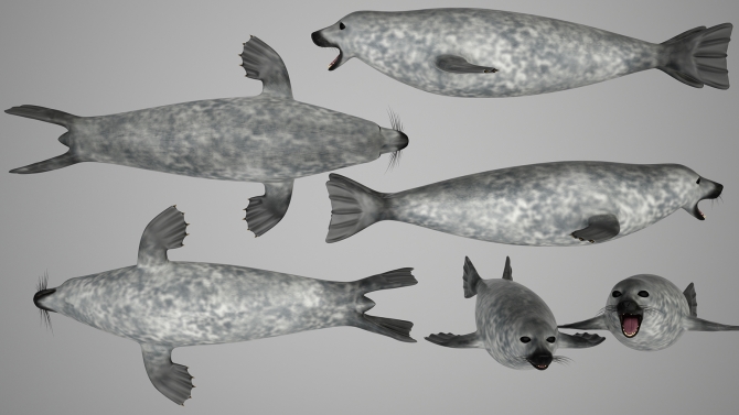 water seal