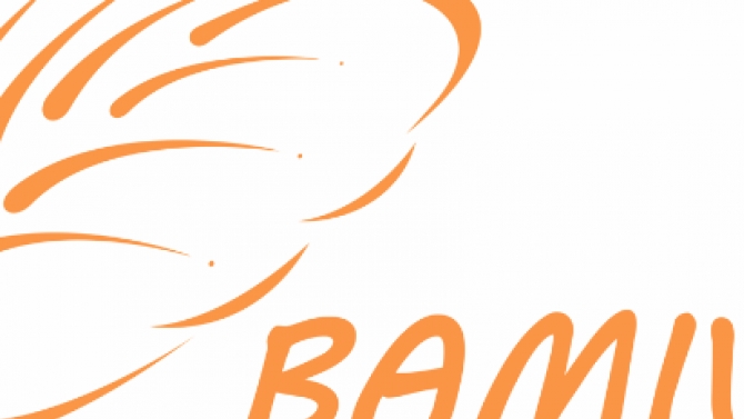 Logo B&aacute;nh M&igrave; BAMIVI