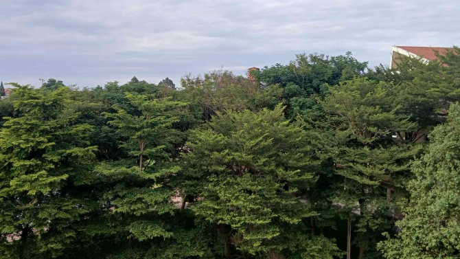 ng&agrave;n ch&ugrave;ng m&acirc;y n&uacute;i l&atilde;ng mạn