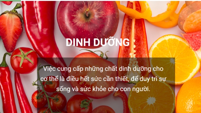 Viết b&agrave;i chuẩn SEO tr&ecirc;n Web vệ tinh