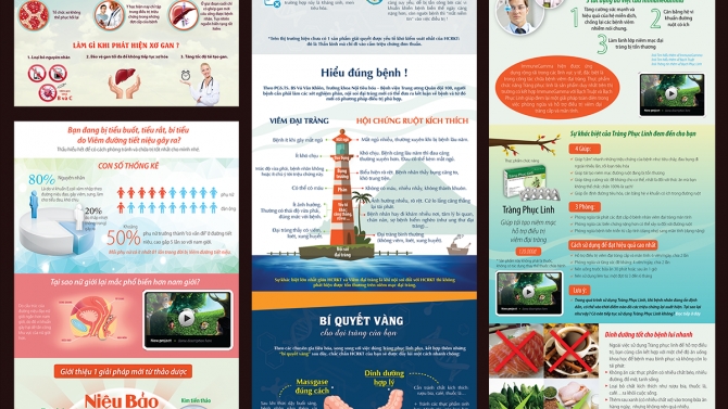 Tổng hợp InfoGraphic 2014