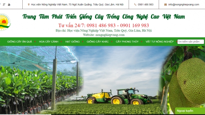 thiết kế v&agrave; lập tr&igrave;nh website