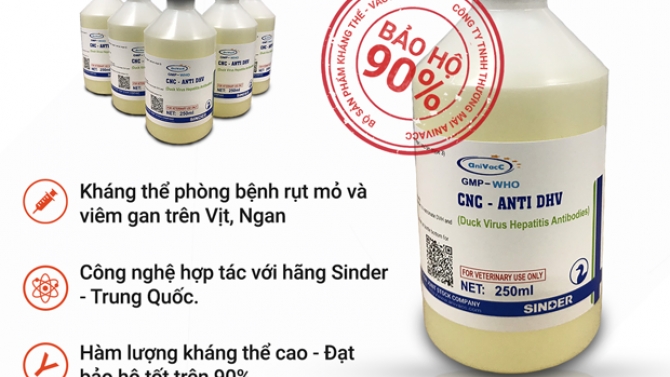 Thiết kế ảnh giới thiệu sản phẩm