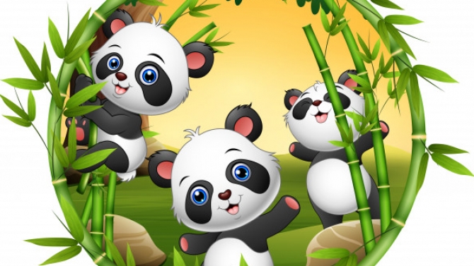 Làm clip giới thi&ecirc;̣u c&ocirc;ng ty