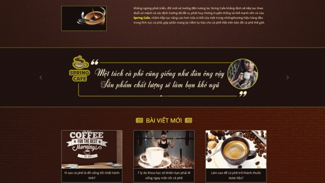 Thiết kế Website SinhLucDanOng.net