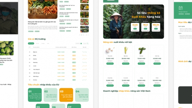 Thiết kế website SFV Export