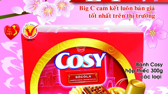 B&igrave;a Catalogue mail post cho Si&ecirc;u thị BigC