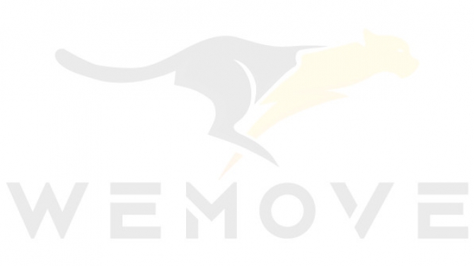Thiết kế bộ nhận diện thương hiệu WEMOVE