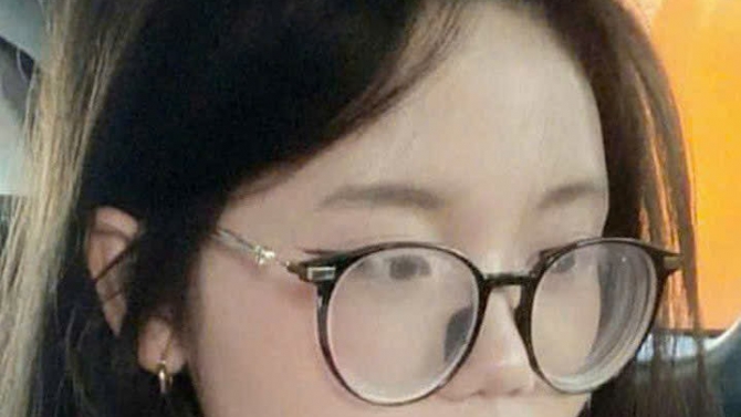 Nhập liệu, Voice