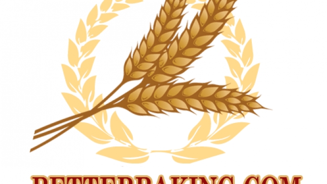 Design Logo
