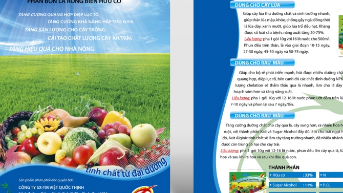 Thiết kế Brochure cho c&ocirc;ng ty Việt Quốc Thịnh