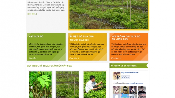 Website c&acirc;y sưa đỏ
