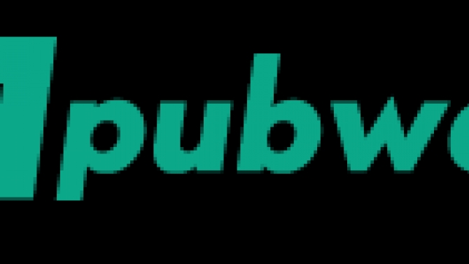 Thiết kế website giới thiệu c&ocirc;ng ty pubweb.vn