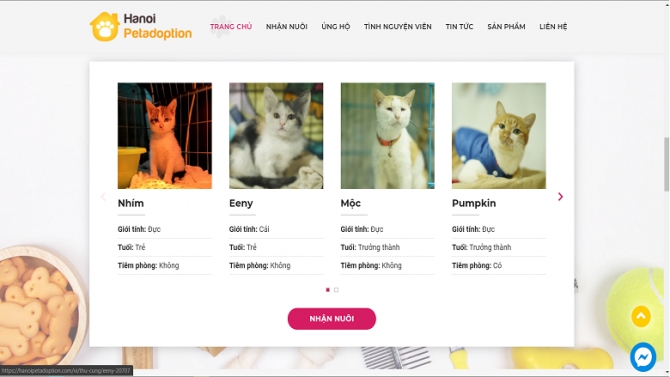 HanoipetAdoption