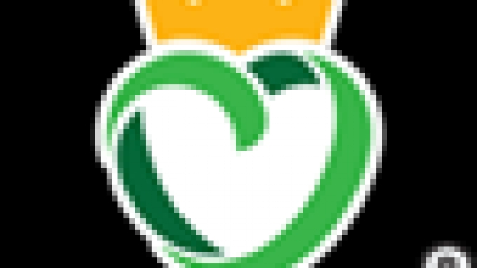 Tối ưu website