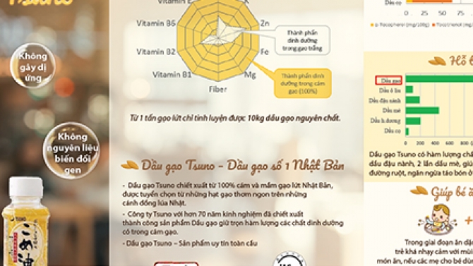 Thiết kế tờ gấp