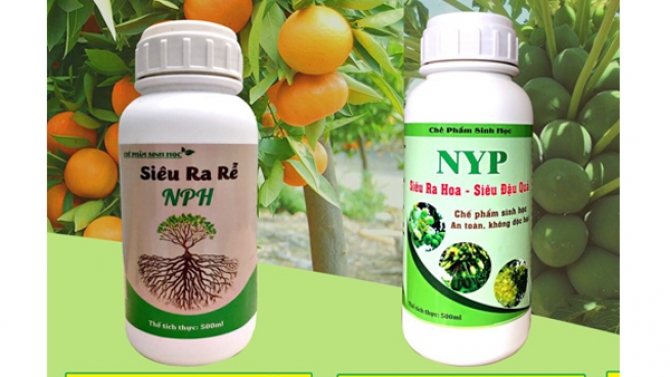 Thiết kế bao b&igrave;