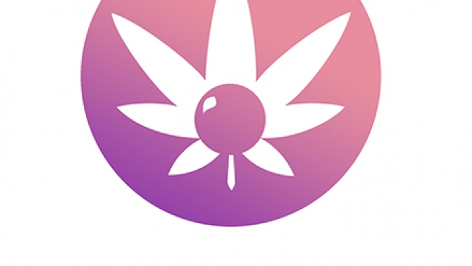 Logo Kimo Store