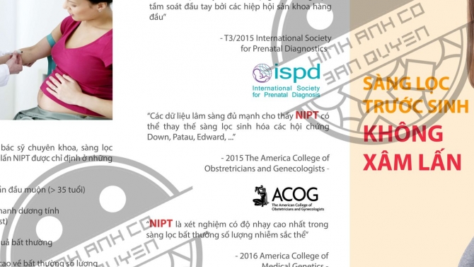 Thiết kế flyer