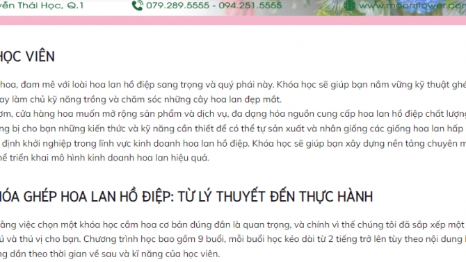 Viết content chuẩn SEO cho Website
