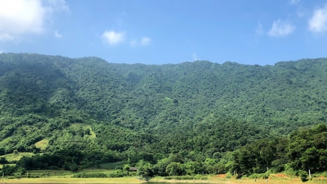Sản xuất video