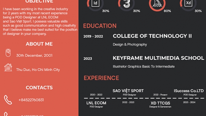 Curriculum Vitae (CV)