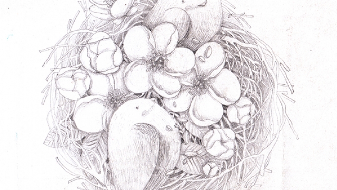 Illustration