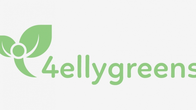 Thiết kế logo 4ellygreen
