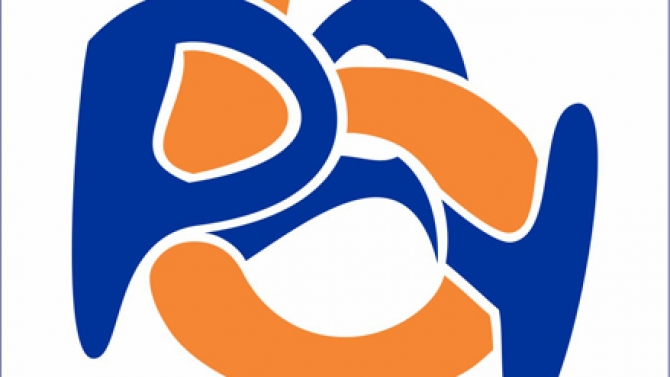 logo dịch vụ t&agrave;i ch&iacute;nh 5PAY