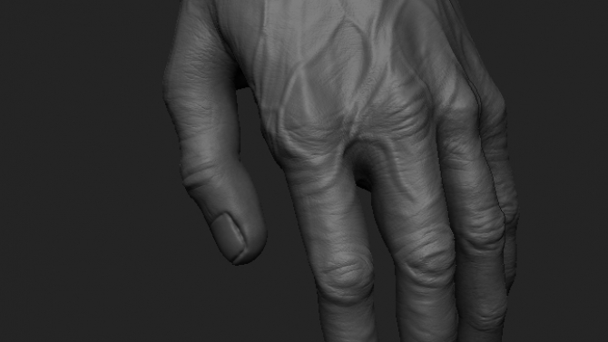 Hand detail - zbrush