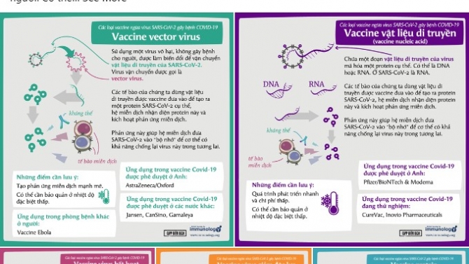 Viết nội dung trang Facebook CIPPS