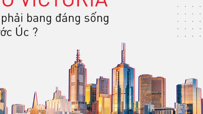 thiết kế nội dung h&oacute;a SEO tr&ecirc;n website