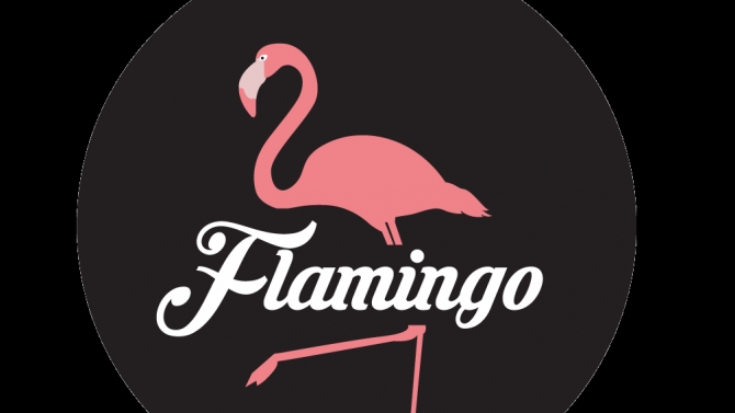 Logo Flamingo