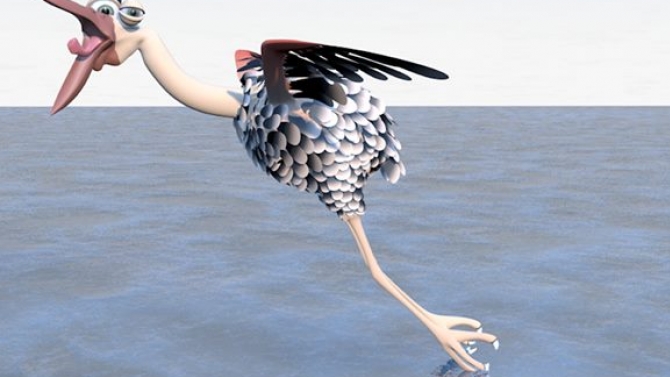bird