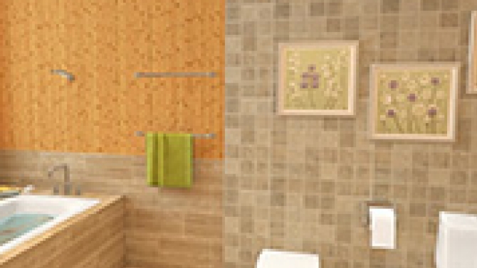 Bathroom Project