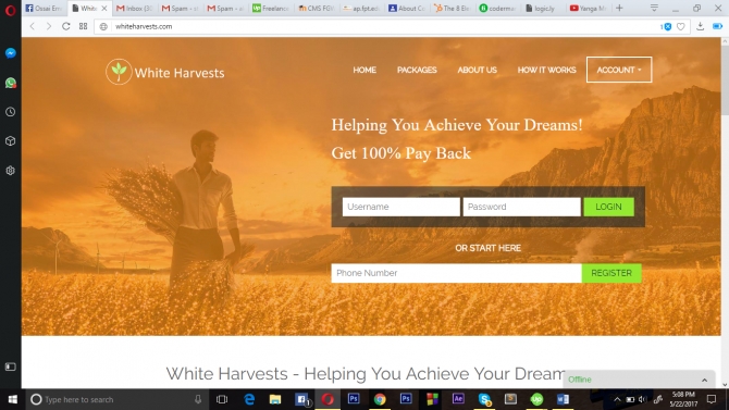 Web development