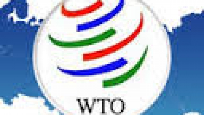 Tư vấn Đầu tư nước ngo&agrave;i