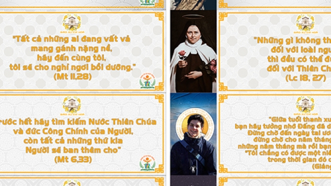 Thiết kế logo, thiết kế banner, thiết kế đồ hoạ