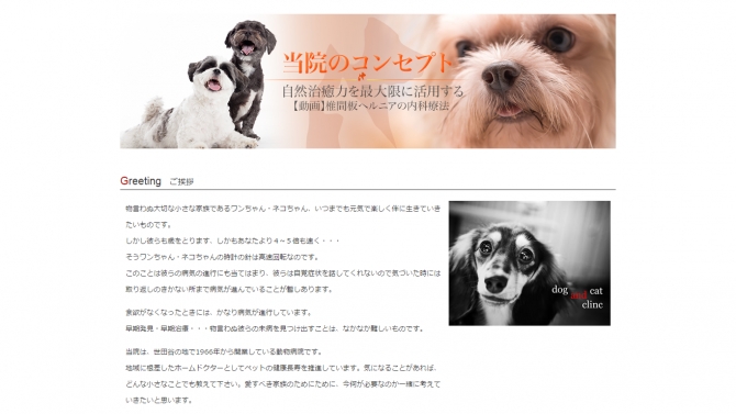 Website bệnh viện ch&oacute; m&egrave;o