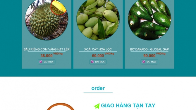 Website tr&aacute;i c&acirc;y Canthofruit