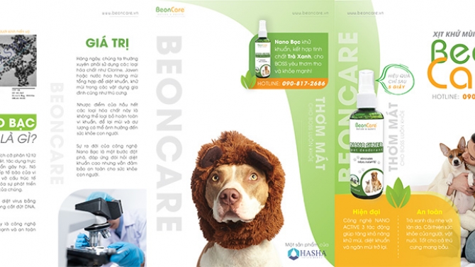 Brochure BeonCare