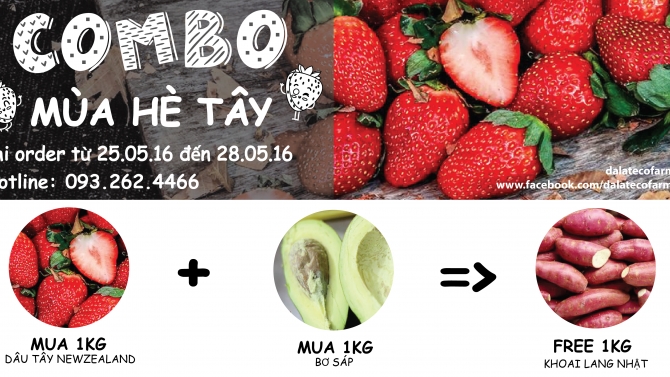 banner facebook