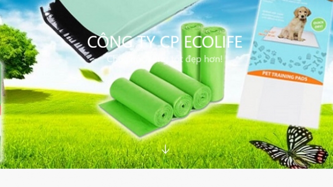Thiết kế website giới thiệu sản phẩm v&agrave; c&ocirc;ng ty