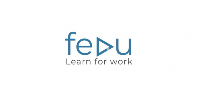 Liquid Logo Animation: Fedu