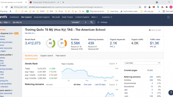 Seo tổng thể website