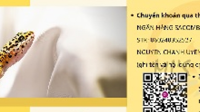 Thiết kế Cover FB Mi's Store
