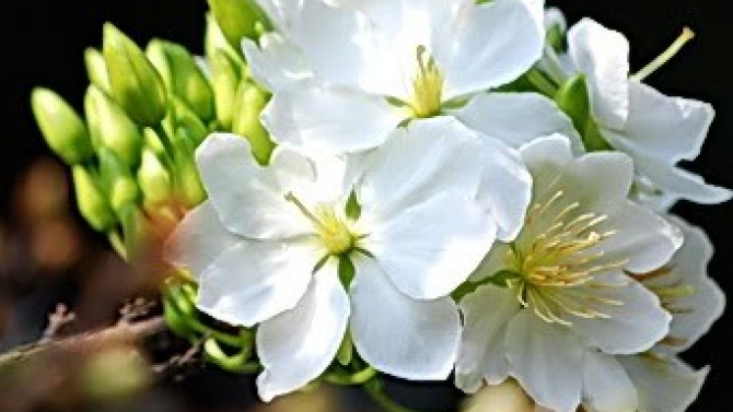 Dịch thuật t&agrave;i liệu kinh tế, hợp đồng