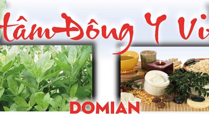 Banner Đ&ocirc;ng Y