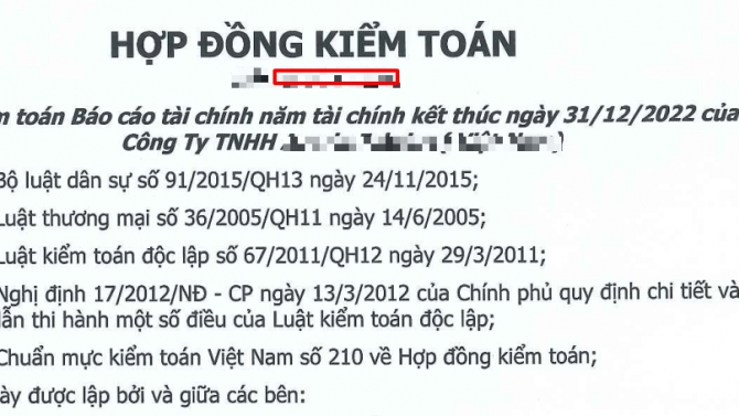Kiểm to&aacute;n b&aacute;o c&aacute;o t&agrave;i ch&iacute;nh, Kiểm to&aacute;n theo luật định, Kiểm to&aacute;n mục đ&iacute;ch thuế, Kiểm to&aacute;n theo y&ecirc;u cầu của chủ sở hữu